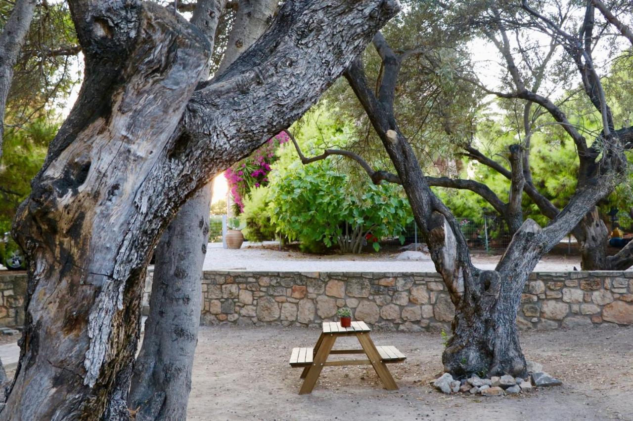 Pyrgos Ralli Estate *