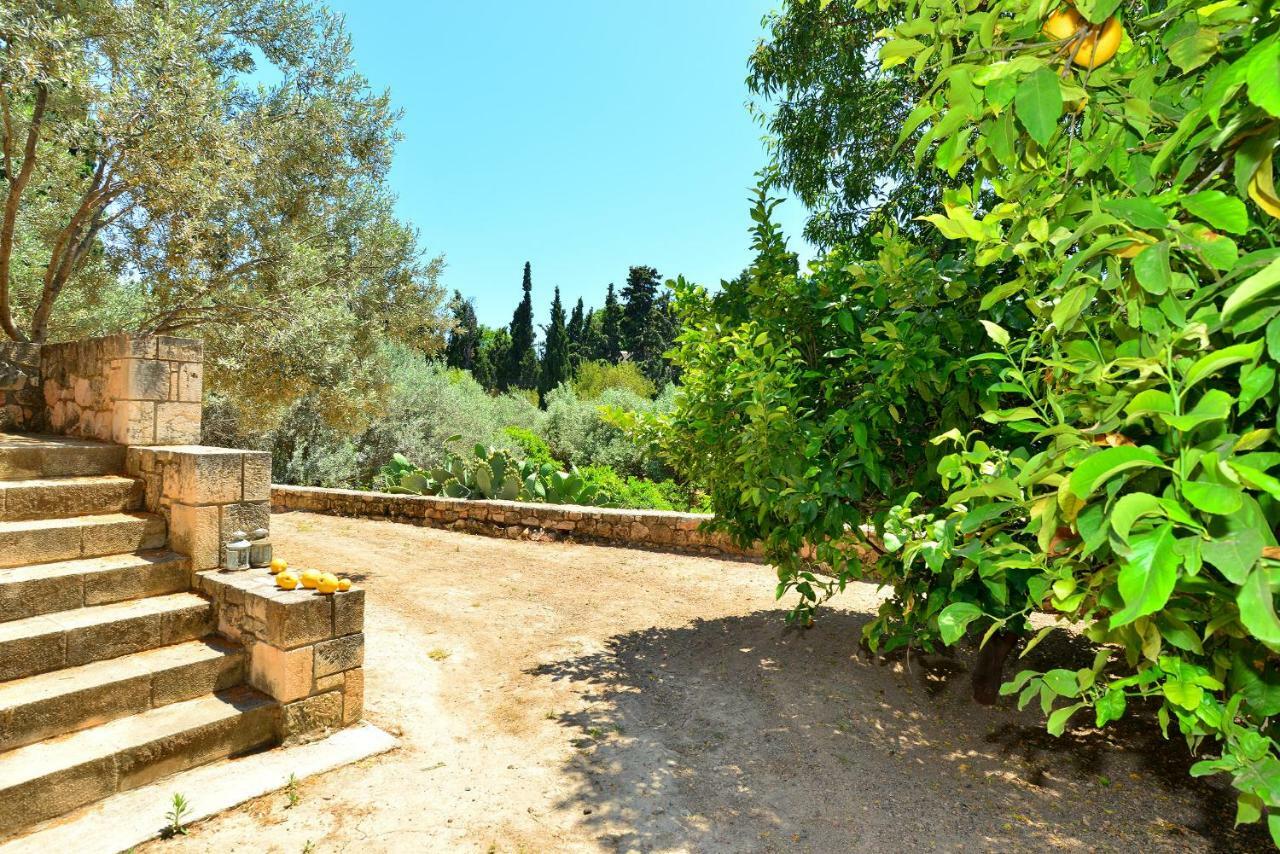 Pyrgos Ralli Estate Appartement