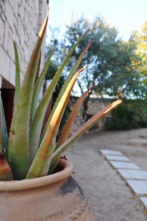 Pyrgos Ralli Estate Appartement *